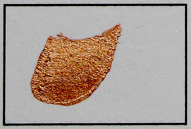Bronze Effekt-Pigment Perlglanzpigment Bild 1