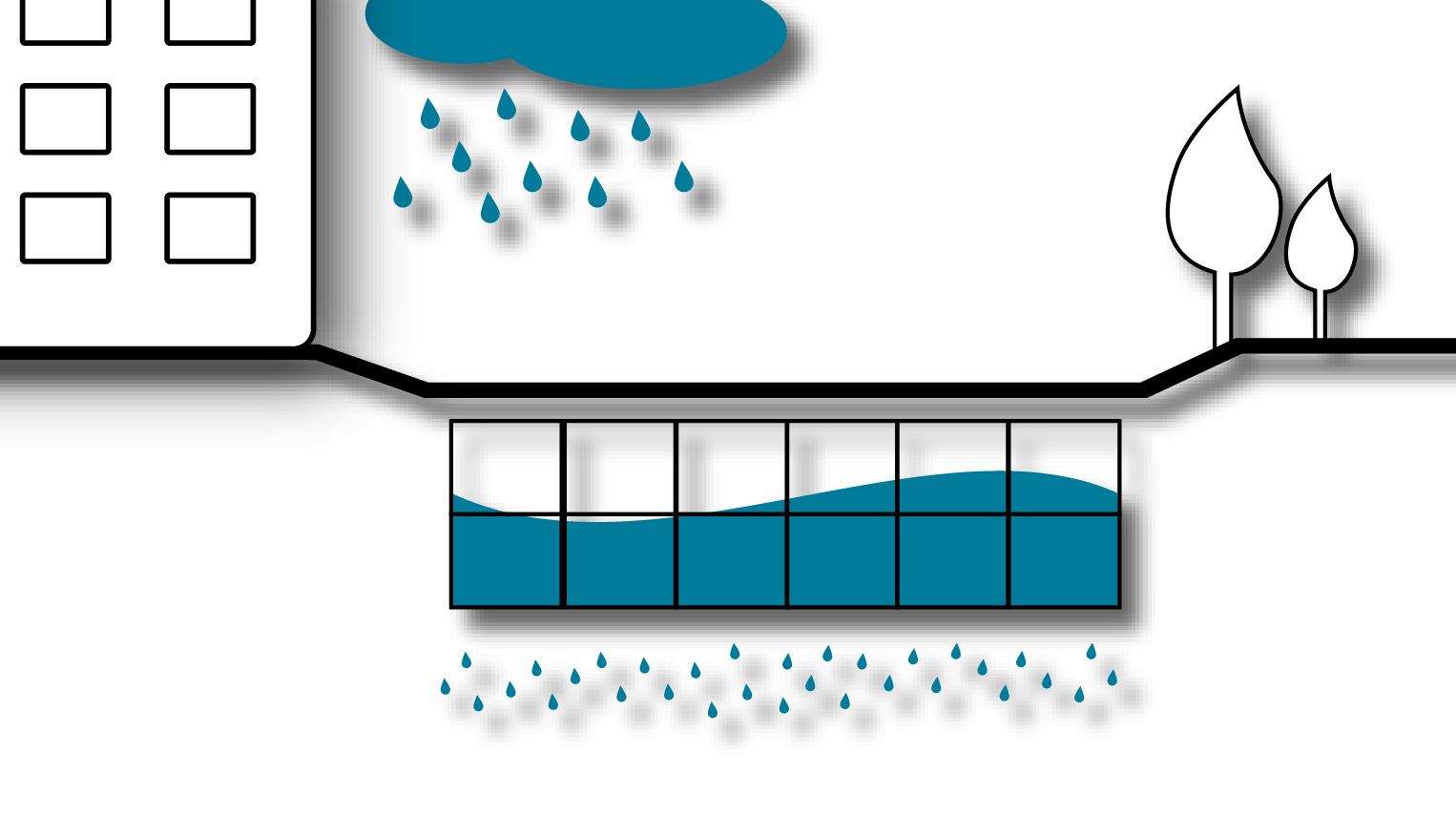 Wissens-Wert | Regenwasserversickerung