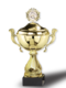 Pokal Gold Star