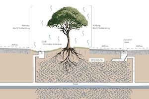 Regenwasserbewirtschaftung nach dem Schwammstadt-Prinzip für die Turmstraße - Zehentgasse in Heilbronn