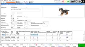 Warehouse Management Software and System SuPCIS-L8 WMS incoming goods